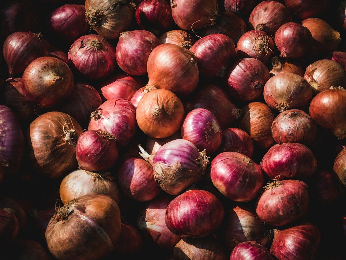 Fresh Red Onions – Export-grade red onions